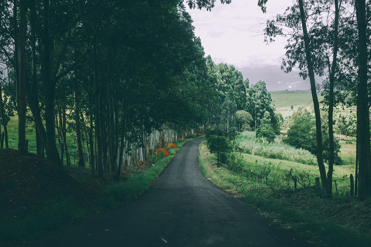 Retreat