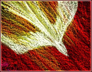Pentecost