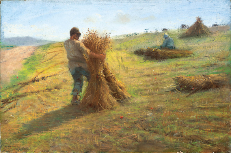 Grain Harvest by Rosssano